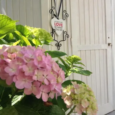 Effi Apartment